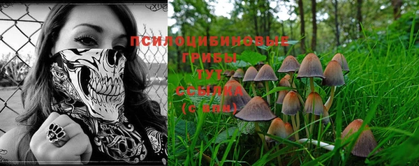 спиды Наволоки